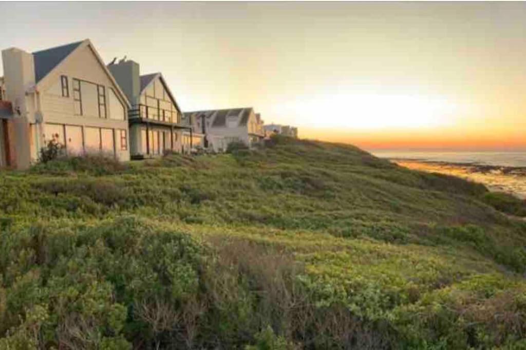 Baby Whale Bliss - Beachfront House วิทซันด์ ภายนอก รูปภาพ