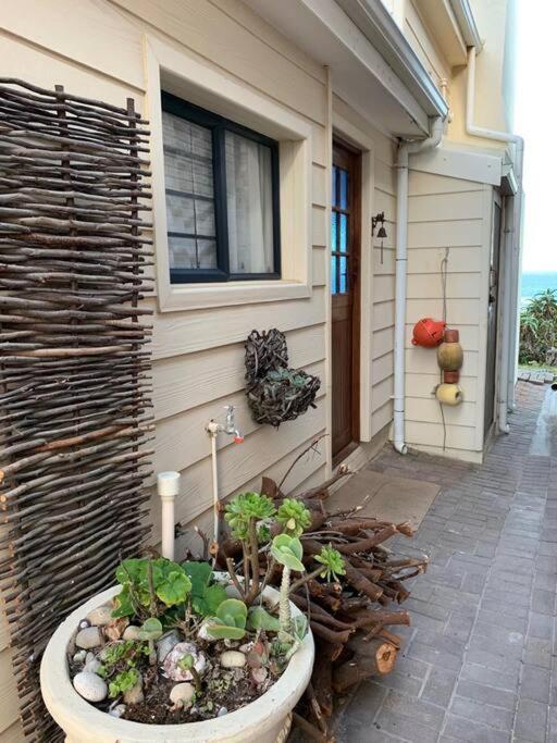 Baby Whale Bliss - Beachfront House วิทซันด์ ภายนอก รูปภาพ